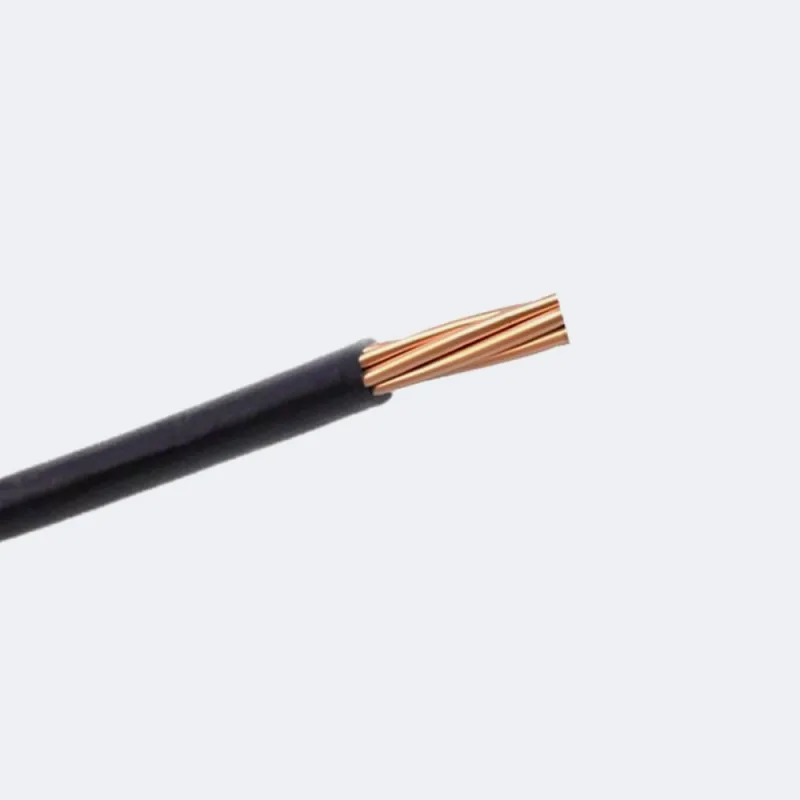 2 X 1.00 MM NEGRO
